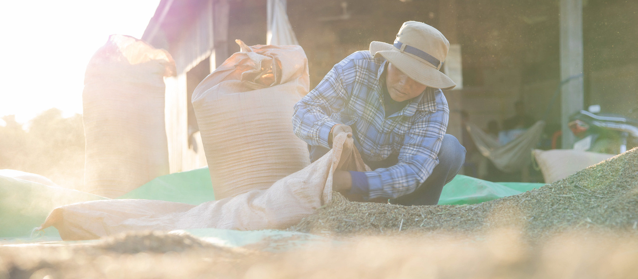 Cultivating Resilience: How Cambodia’s Smallholders are Anchoring the Organic Movement