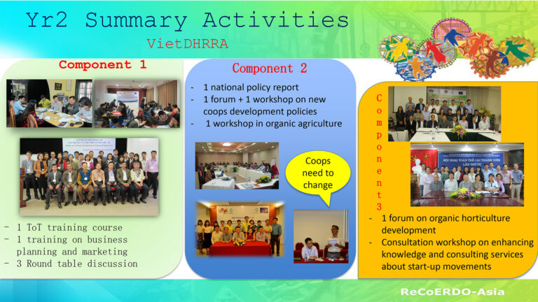 VietDHRRA Infographics – Year 2 Results